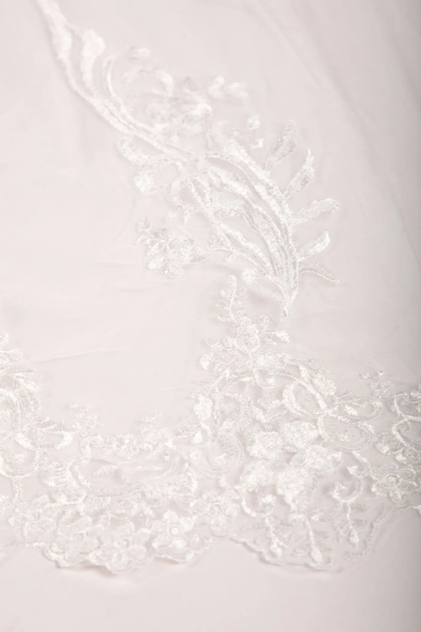 ASTER Long Wedding Veil with Lace Appliques