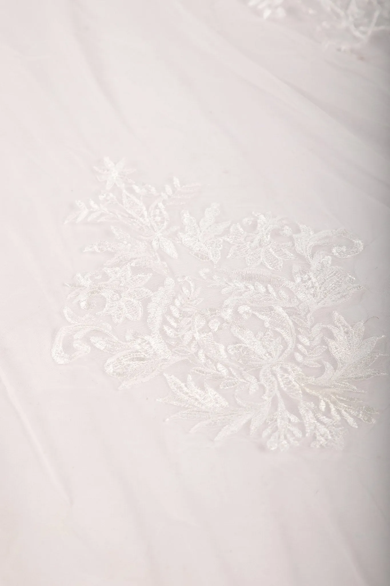 ASTER Long Wedding Veil with Lace Appliques