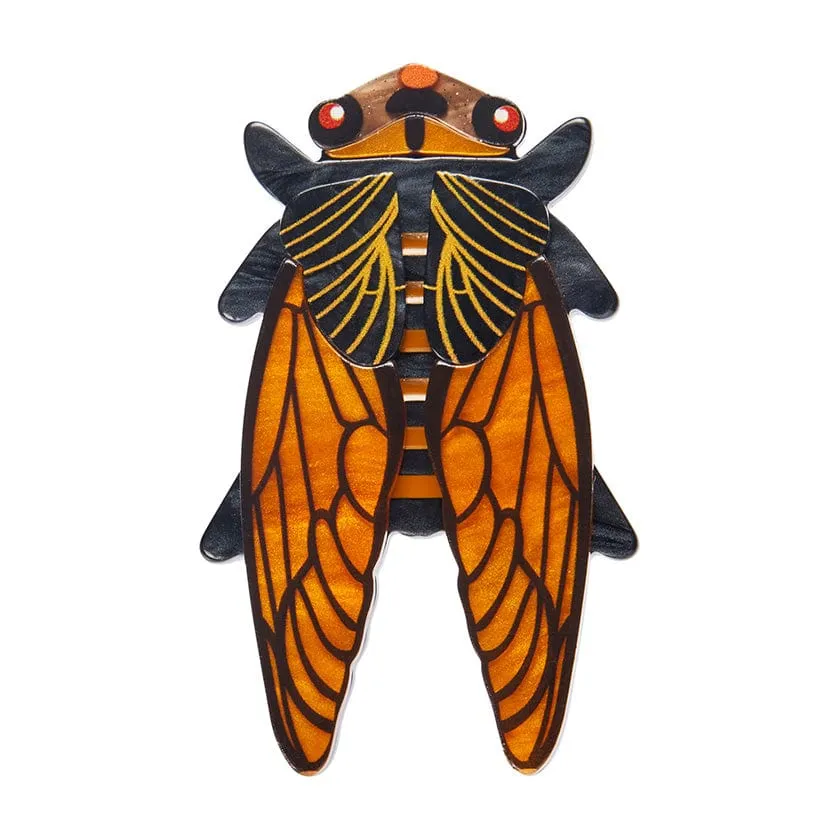 Cicadian Rhythms Brooch